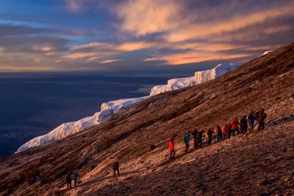 Climbers trekking Mount Kilimanjaro on a 15-day Kilimanjaro Serengeti and Zanzibar tour