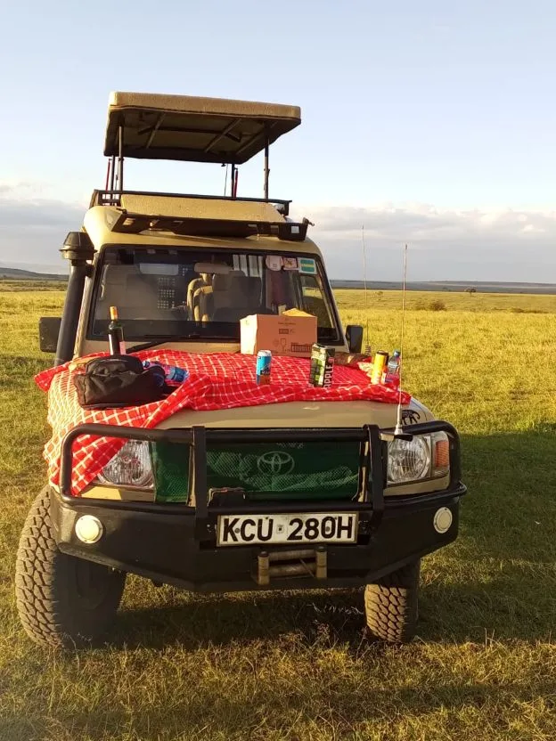 Ngorongoro Crater game drive in Tanzania