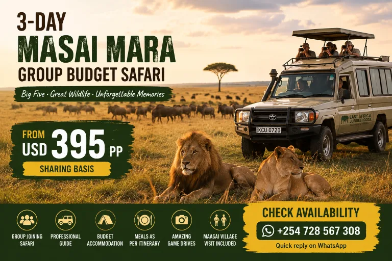 3 Days Masai Mara Group budget Safaris