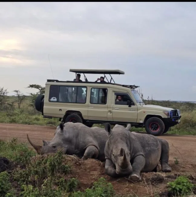 4-days-great-migration-safari-tanzania-20260831-135333-589099.webp