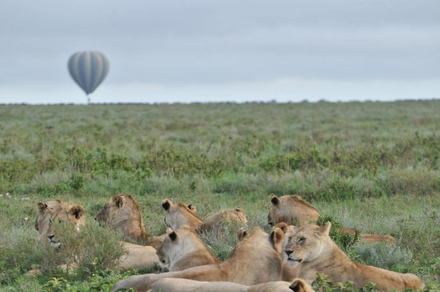 5 Days Kenya Migration Tour 2026–2028