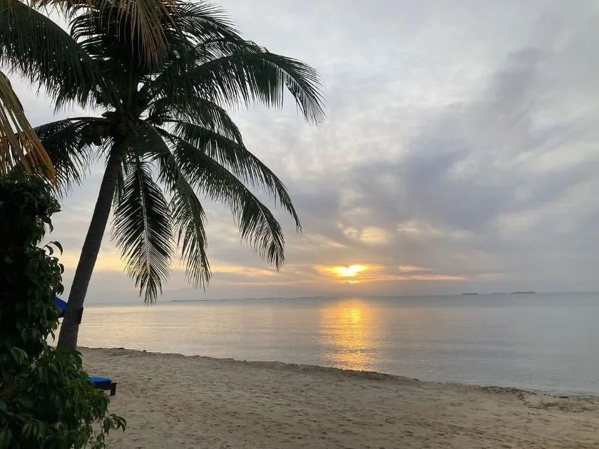 Kenya wildlife and beach tour with safari and coastal relaxation