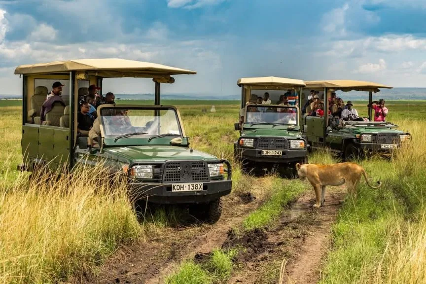 7-best-kenya-wildlife-cutural-tour-20260731-143950-9be626.webp