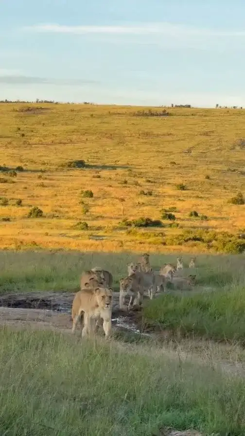 4 DAY LUXURY MARA TOUR