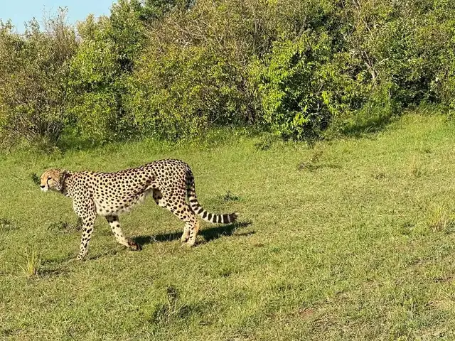 3 Days Samburu Safari Tour