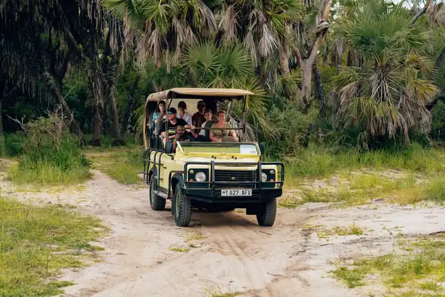 4 Days Maasai Mara & Lake Nakuru Budget Group Tour