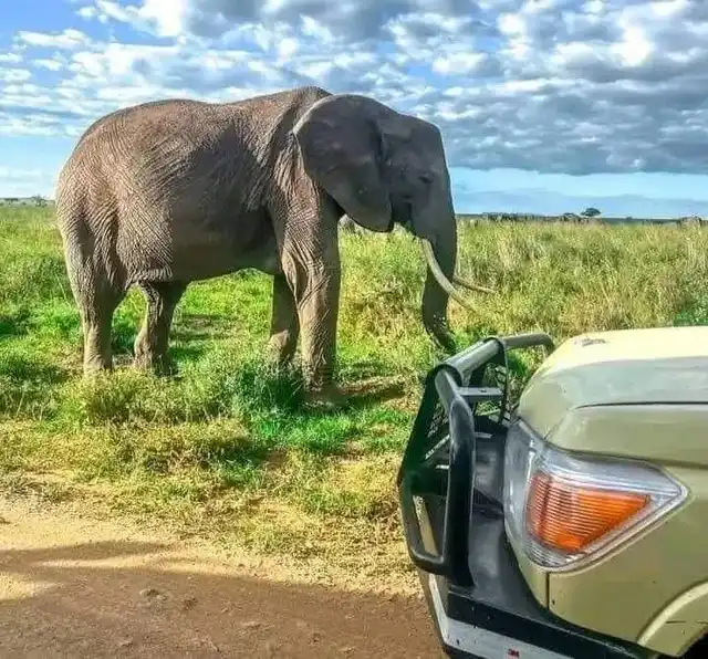 7 Days Mara, Nairobi & Diani Beach Safari 2026/2027/2028