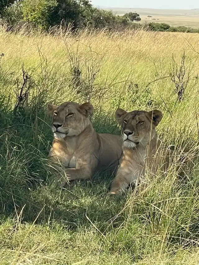 10 Days Kenya Luxury Safari 2026/2027