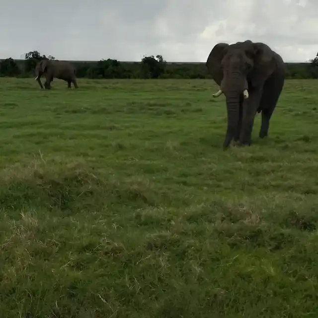 3-day Serengeti and Ngorongoro group safari in Tanzania