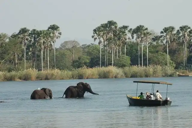 Elephants in Nyerere National Park on a 3 Days Selous Safari