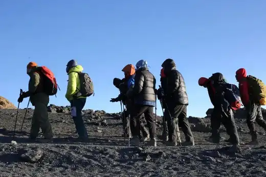 Group climbers trekking along Kilimanjaro's Lemosho Route