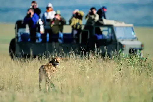 Family on a luxury safari in Serengeti Tanzania