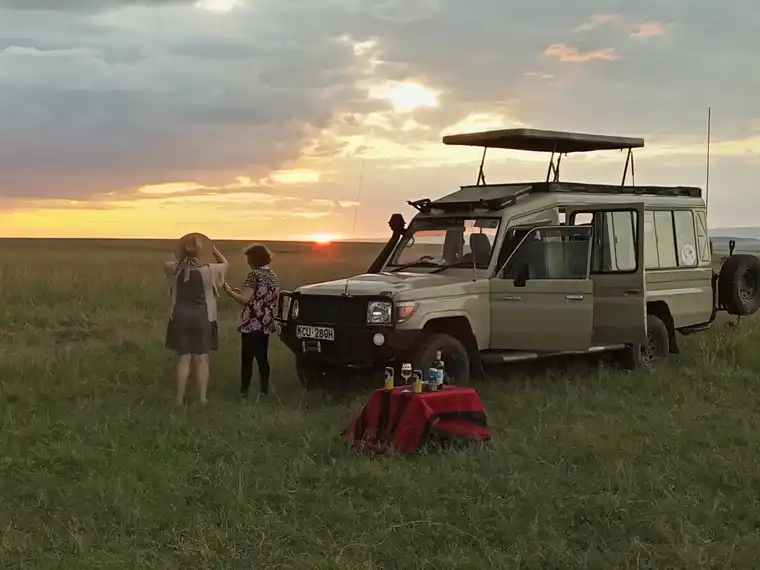 Kenya Safari Packages: Compare the Best Tours for Every Traveller (2026–2028)