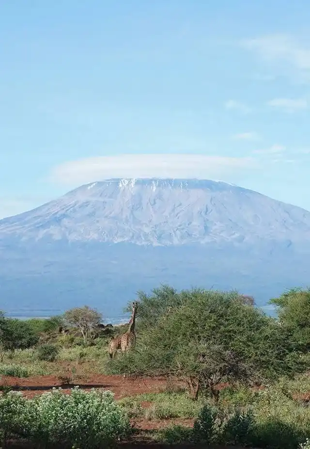 9 Days Kenya Safari & Zanzibar Beach Tour with Big Five wildlife and white-sand beaches