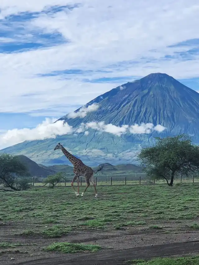 4days Tsavo West/Amboseli safari