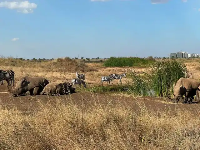 2 Days Tarangire & Lake Manyara Safari