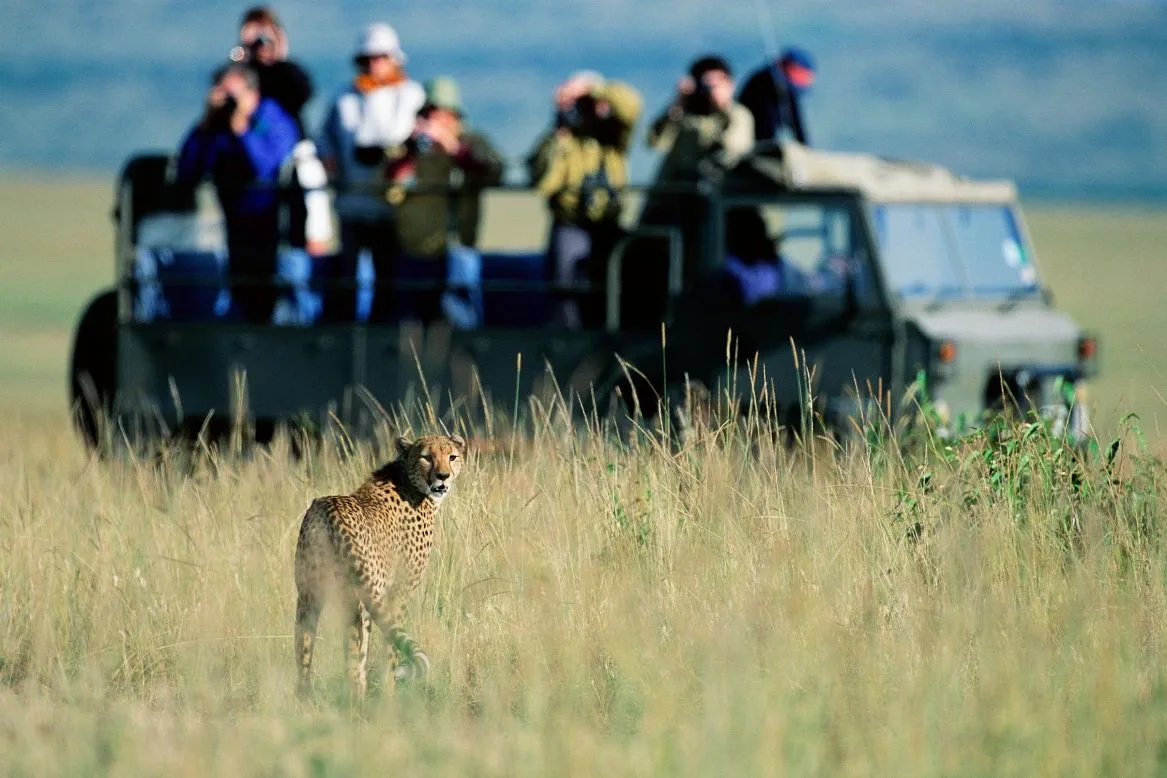 Luxury Masai Mara fly-in safari with wildlife on the open savannah