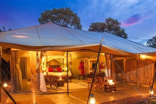 Luxury Masai Mara fly-in safari with wildlife on the open savannah