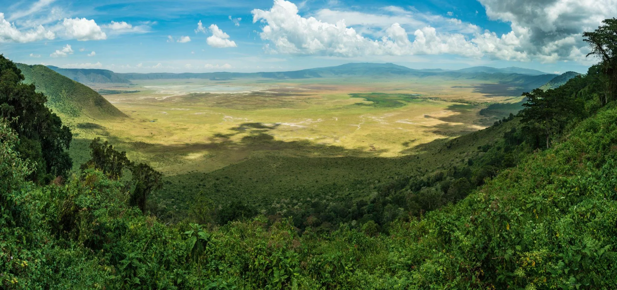 9 Days Kilimanjaro Lemosho Route Climb and Serengeti Ngorongoro Group Safari in Tanzania