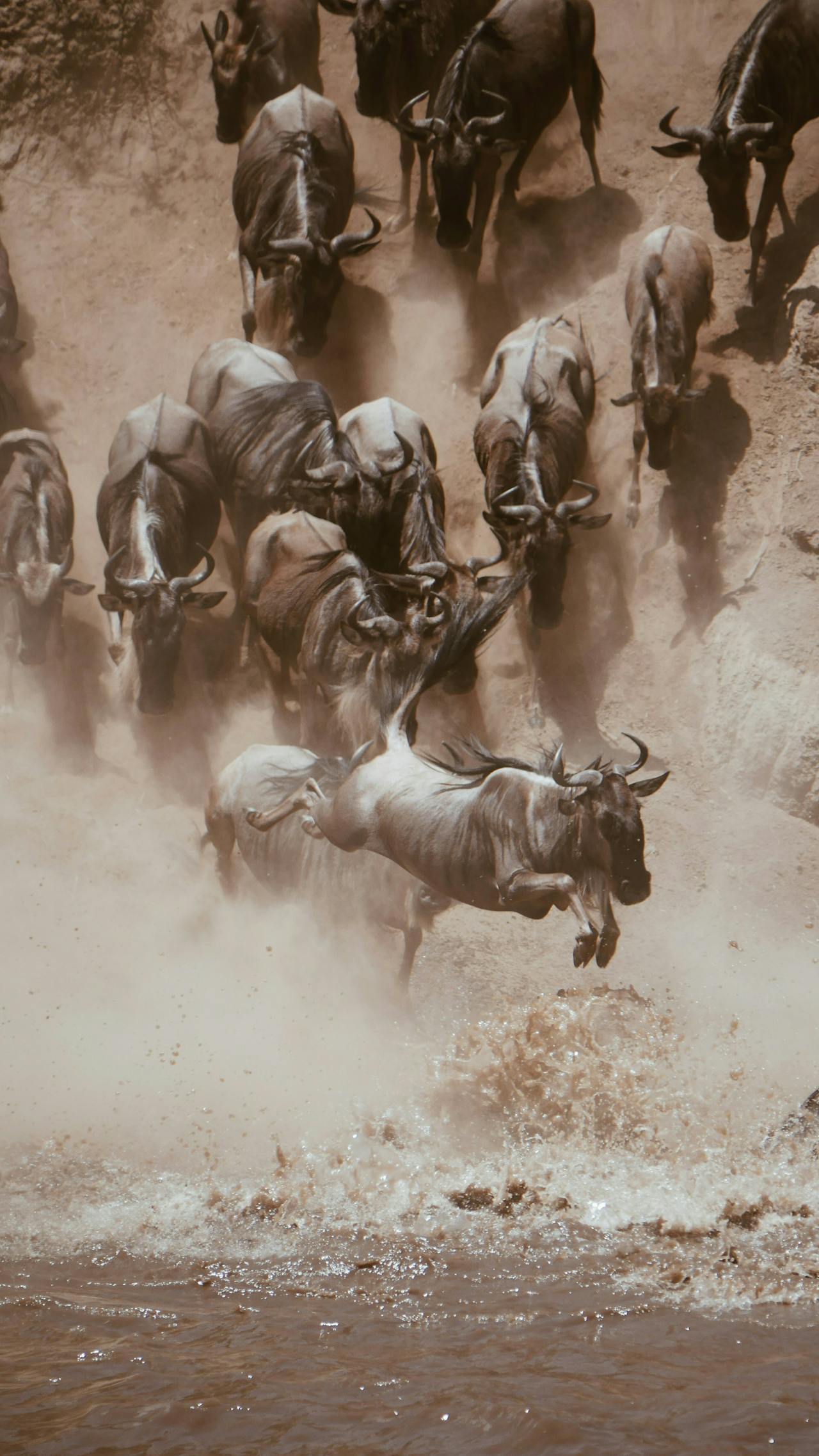 3 Days Maasai Mara Luxury Tour.