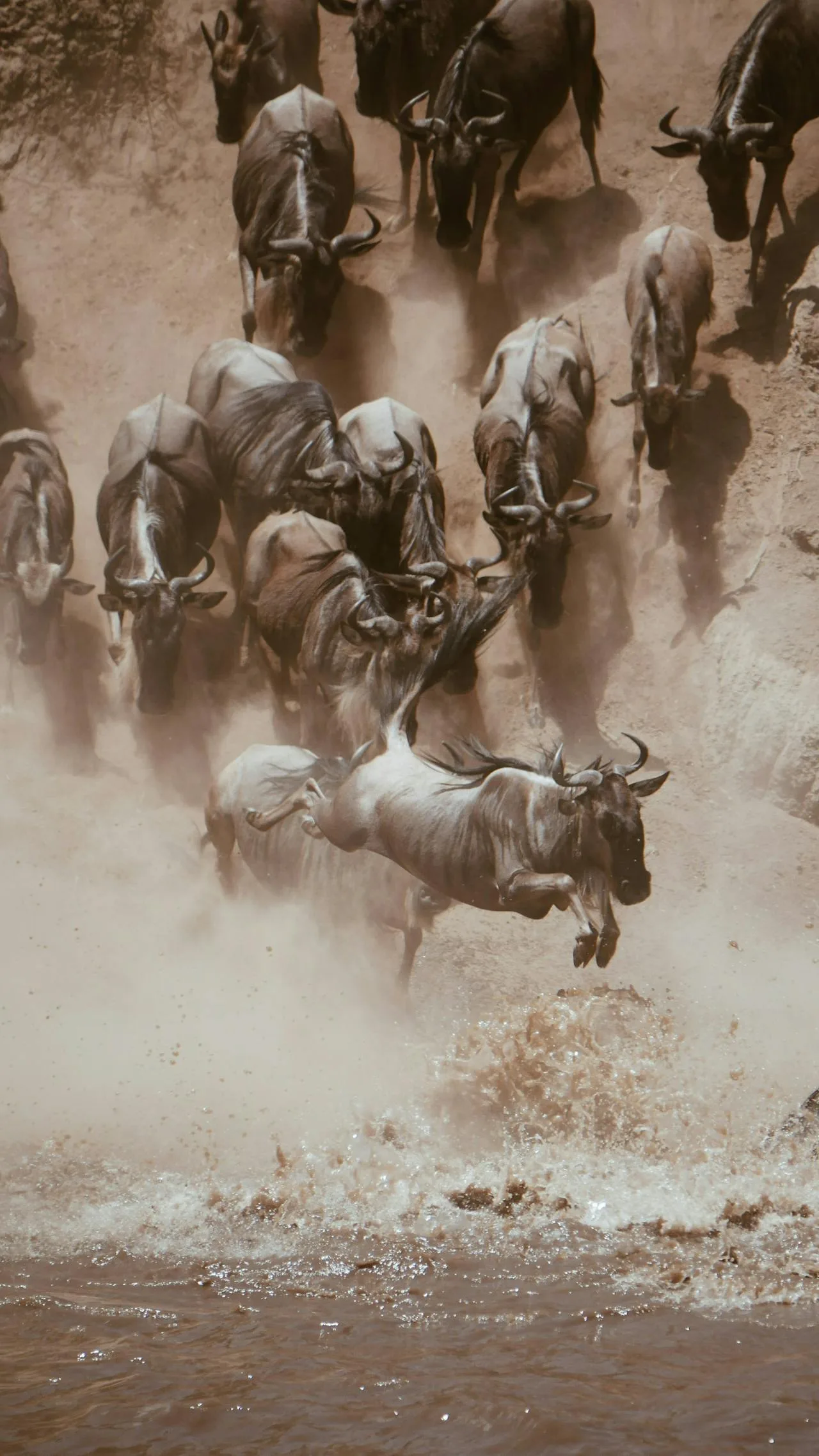 4 Days Maasai Mara Lake Naivasha Tour 2026/2027/2028