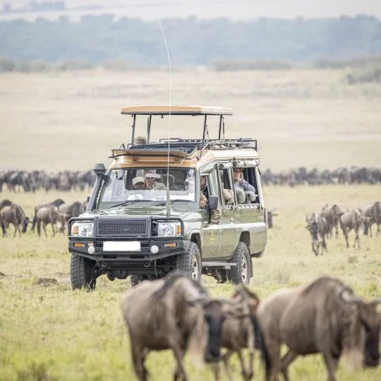 5-day Tanzania group safari in Serengeti National Park