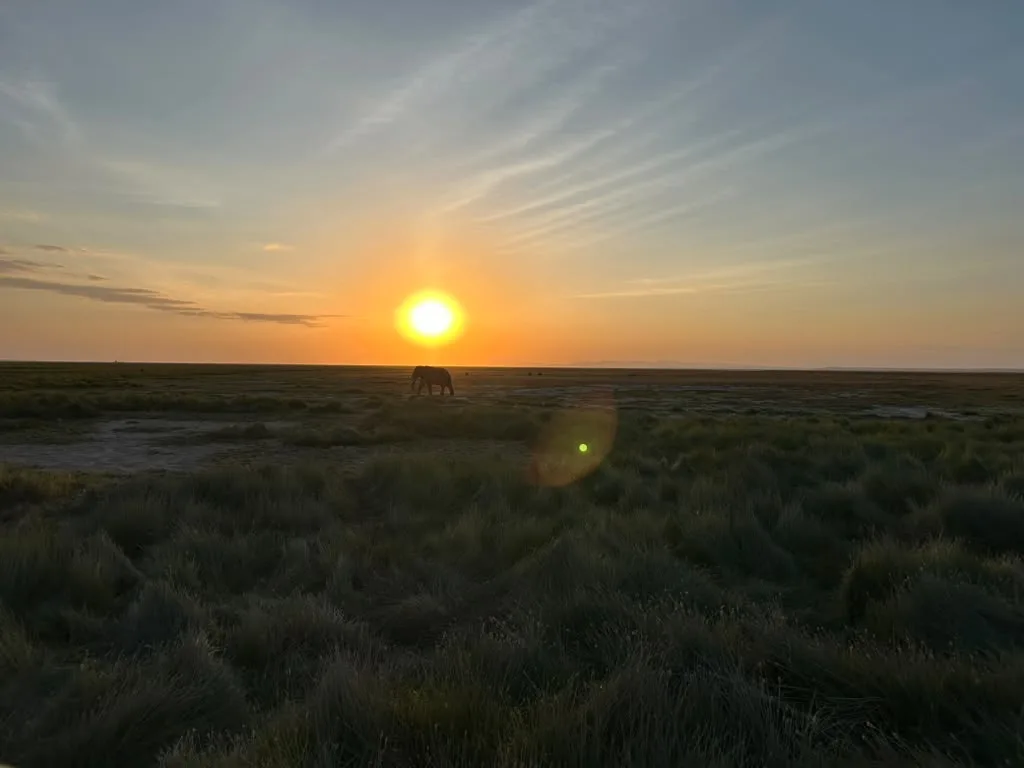 Sunset in Masai Mara