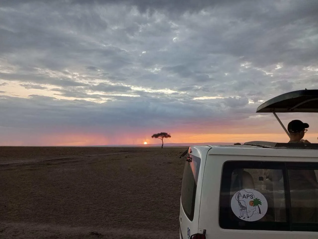 Lion overlooking the Serengeti plains during a Northern Tanzania safari
