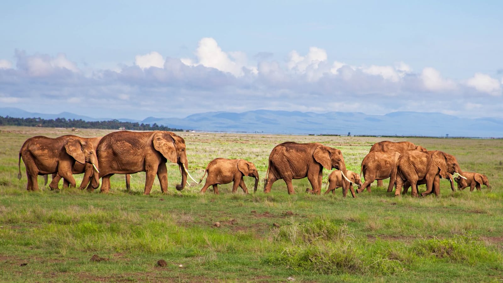 3 days Amboseli tour