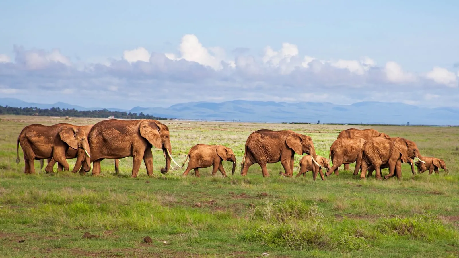 3 days Amboseli tour