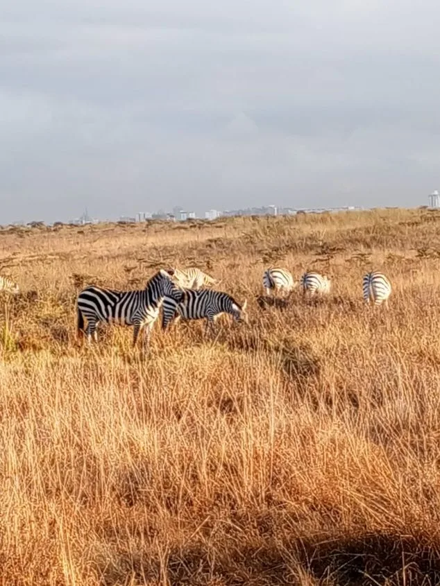 4 Days Tarangire, Serengeti & Ngorongoro Safari