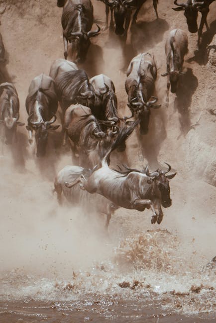 Great Migration Safari in Kenya