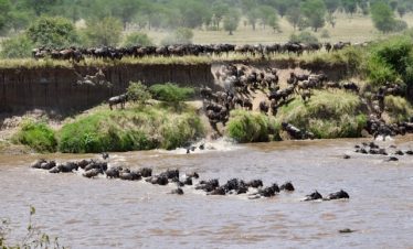 Guide to Kenya Safari Destinations & Experiences