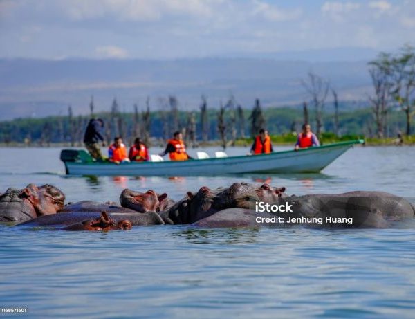 Lake Naivasha Safari Tours