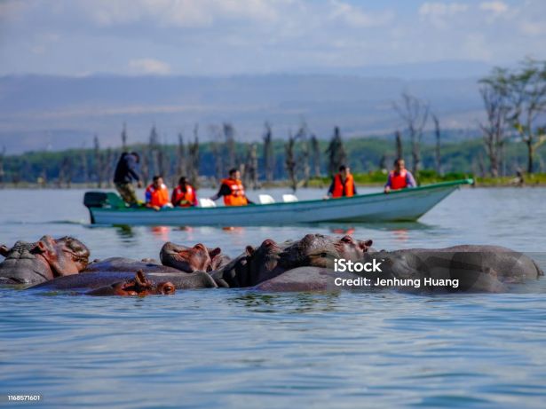 Lake Naivasha Safari Tours