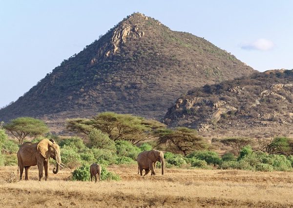 Nairobi National Park Safari Tours