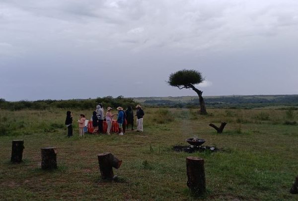 Tanzania Safari Tours