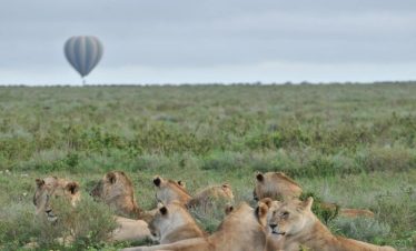 6 Day Kenya Tour & Beach Holiday