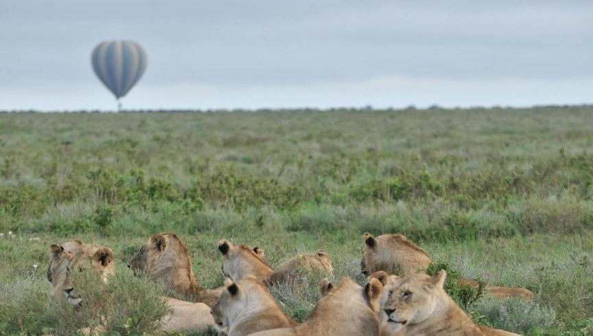 6 Day Kenya Tour & Beach Holiday